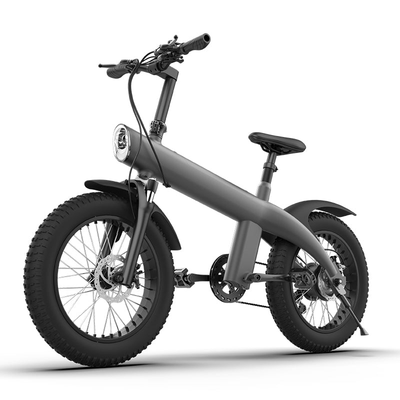 Q3-750W Inch Fat Tire All-terrain Off-Road Electric Bicycle