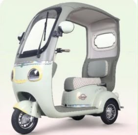 Dudu - E Leisure Tricycle