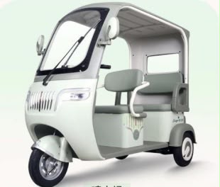Guoli - E Leisure Tricycle